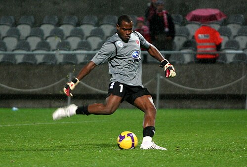 Nigerian goalkeeper Vincent Enyeama in action — context photograph